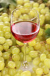 Rotwein im Glas
