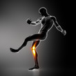 Most used sportsman joint KNEE