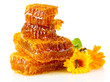 sweet honeycomb with honey, bee and flowers, isolated on white