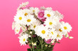 bouquet of daisies on the color background