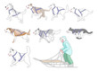 Musher and dogs mix n match