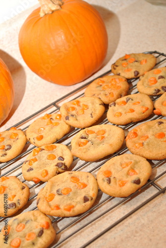 Photo: Pumpkin Cookies Cooling Pumpkin Cookies Cooling