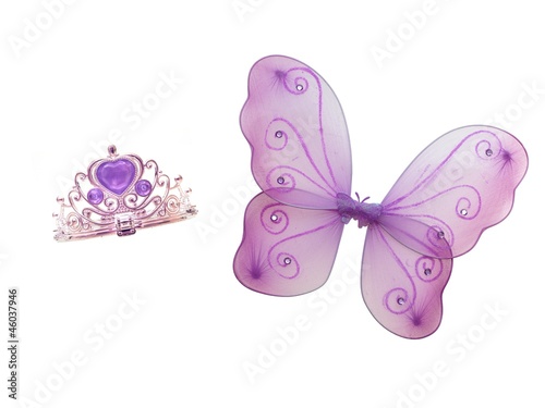 Photo: Fairy Wings Fairy Wings