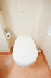 Photo: Toilet in the modern bathroom Toilet in the modern bathroom