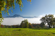 Blick zum Traunstein