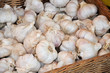 Knoblauch