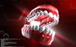 Teeth