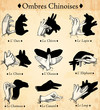 Ombres Chinoises
