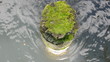 Holzpfahl in der Limmat