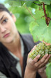 a woman picking a grape
