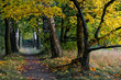 Der Weg zur Treppe
