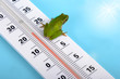 Météo - Rainette verte sur thermomètre 02