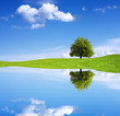 Beauty in nature
