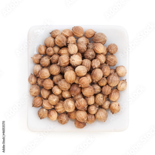 Photo: Coriander Seeds (Coriandrum sativum) in a white bowl on white ba Coriander Seeds (Coriandrum sativum) in a white bowl on white ba