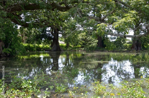 Photo: lago lago