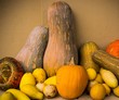 Vegetables still life