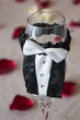 Foto: Groom's. Groom's.