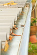 gutter
