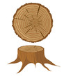 Cross section of tree and stump, vector illustration