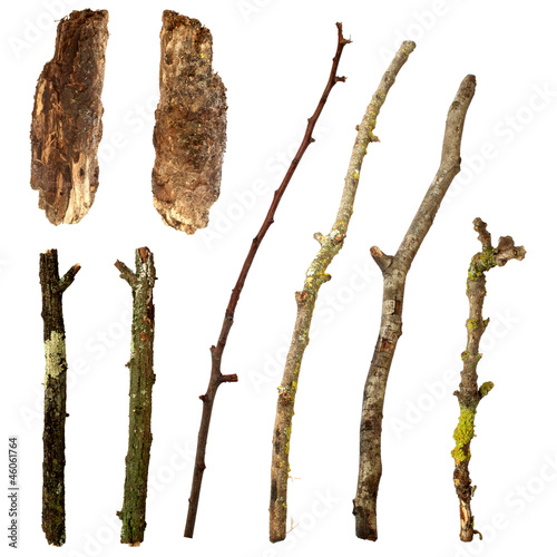 Photo: Isolated leaves branches bush set V Isolated leaves branches bush set V