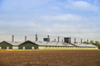 Legehennenfarm