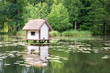 Vogelhaus, Teich, Entenhaus, Hütte, See, Weiher,