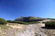 mountain trail