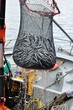 pêche et pêcheur