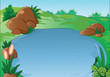 landscape