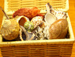 Shell colection