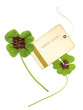 Good Luck Card