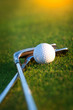 Photo: Golf club and ball Golf club and ball
