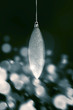 hanging decoration
