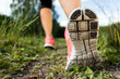 Walking or running legs in forest, adventure and exercising