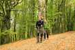 Autumn walk.