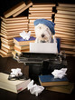 Writer's Block