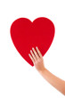 Ein rotes Herz in der Hand - isoliert