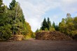 Stock de grumes