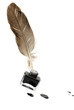 Feather pen set of abstract colour