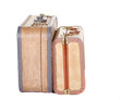 Two vintage suitcases isolated