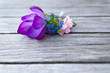 Frühlingsblüten auf Holztisch