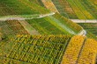 Weinberge