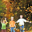 Abenteuer Laubwald im Herbst