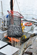 douarnenez 1