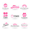Flowers. Vol 1.