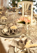 Fancy napkins with christmas
