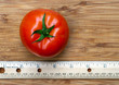 Red Tomato with Ruler
