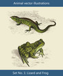 Vektor Illustrationen Eidechse und Frosch