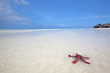 Photo: Zanzibar beach Zanzibar beach