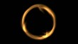 Lichtkreis